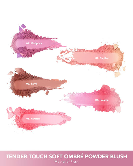 Tender Touch Soft Ombré Powder Blush