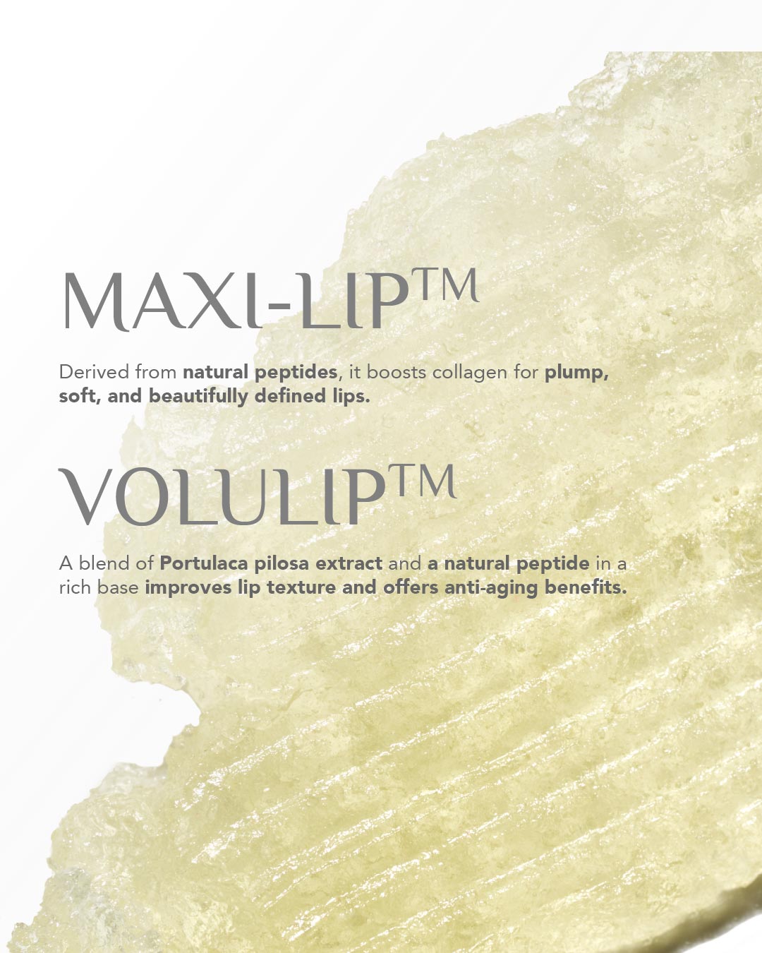 Lippy Shield Nourishing and Protecting Balm SPF 35 PA++++