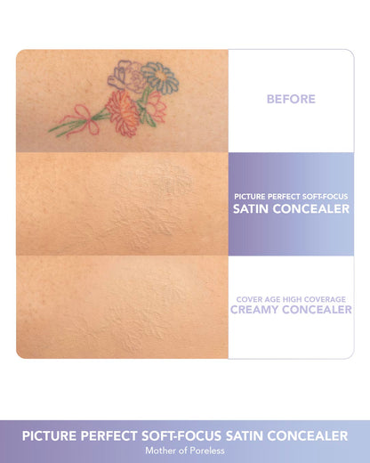 Picture Perfect Soft-Focus Satin Concealer