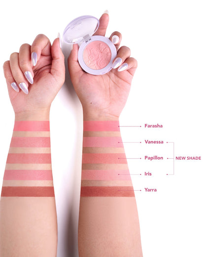 Tender Touch Soft Ombré Powder Blush