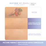 Picture Perfect Soft-Focus Satin Concealer